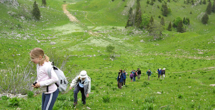 Groupe Alpes © Pro Natura