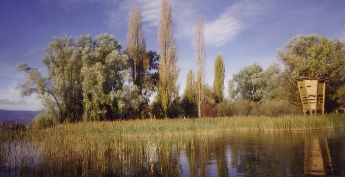 Pointe à la Bise © Pro Natura Genève