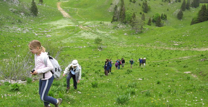 Jeunes + Nature