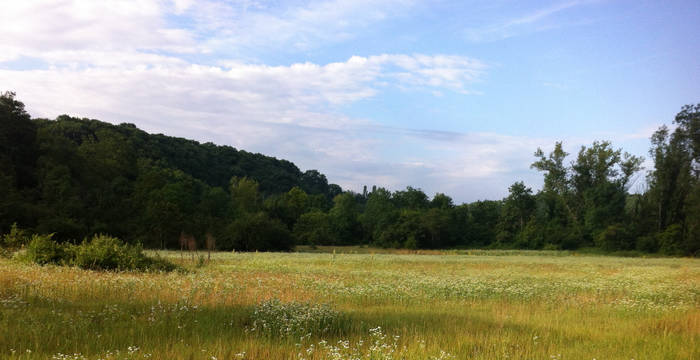 Allondon_Prairie