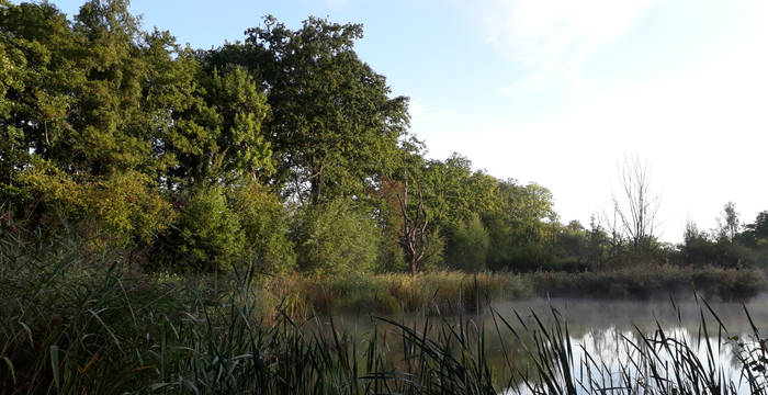 Mategnin les Crêts