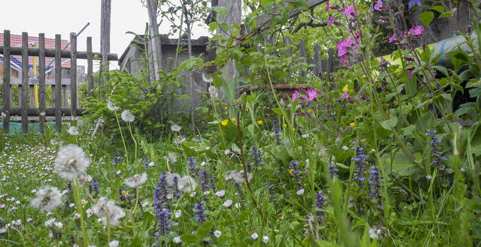 Jardin naturel