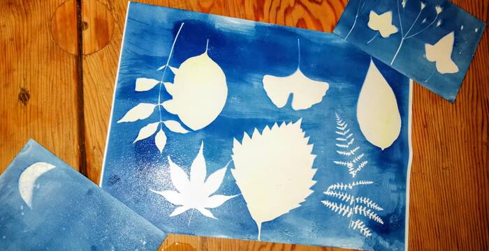 Cyanotype