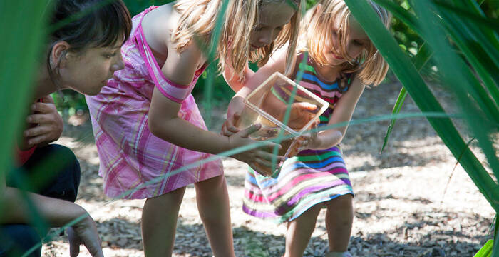 Premières découvertes