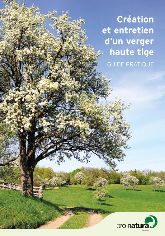 Brochure Verger haute tige