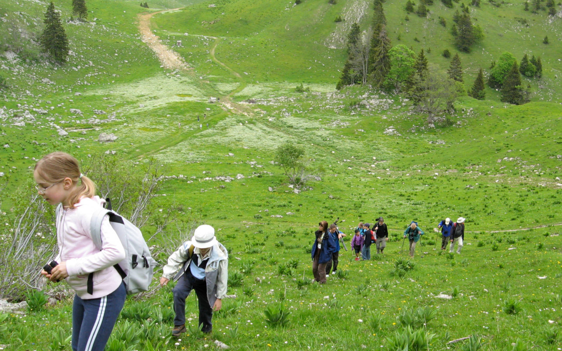 Groupe Alpes © Pro Natura