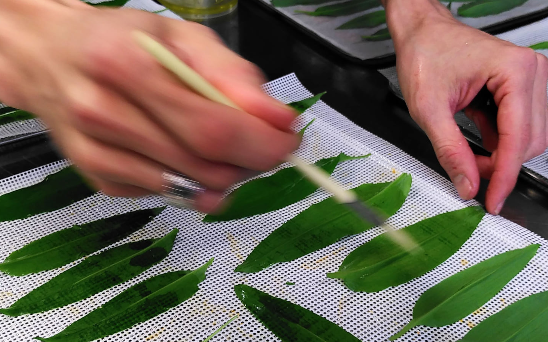 Herbes sauvages