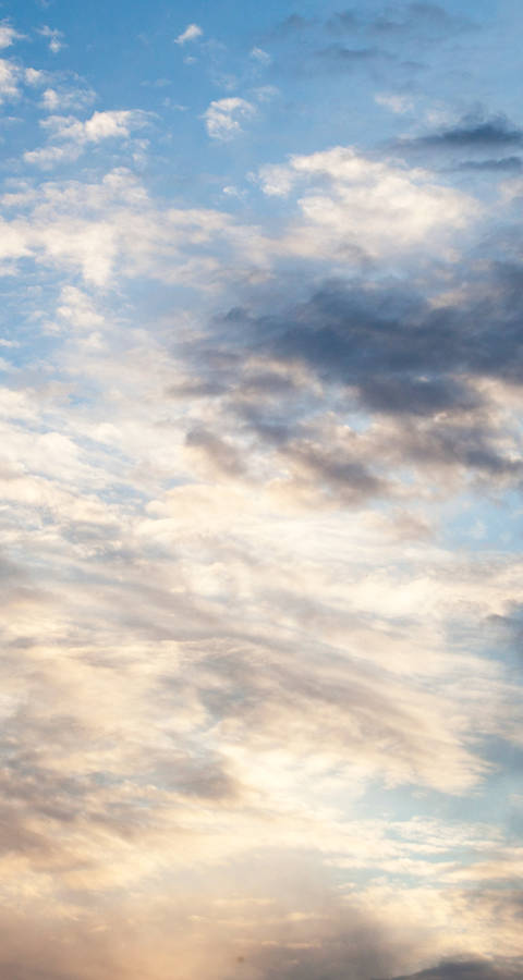 ciel