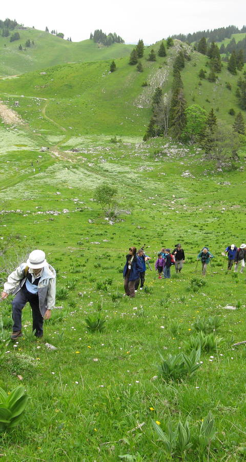 Jeunes + Nature