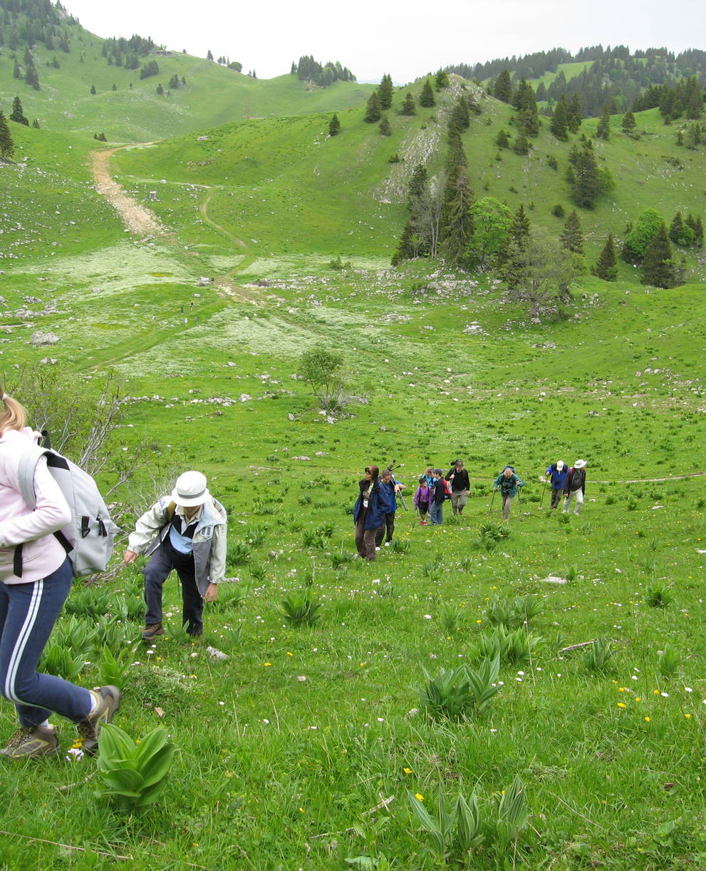 Jeunes + Nature