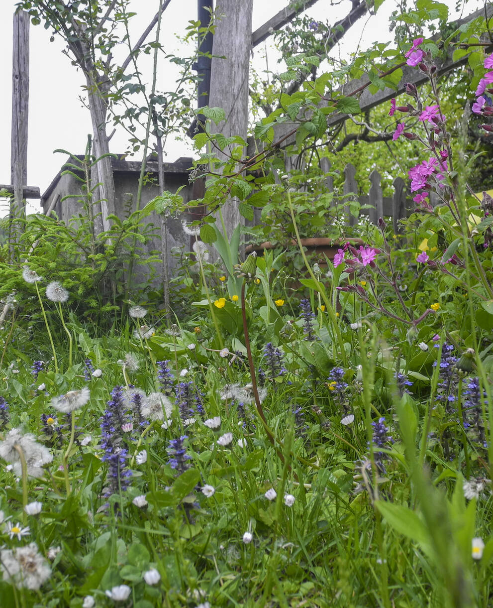 Jardin naturel