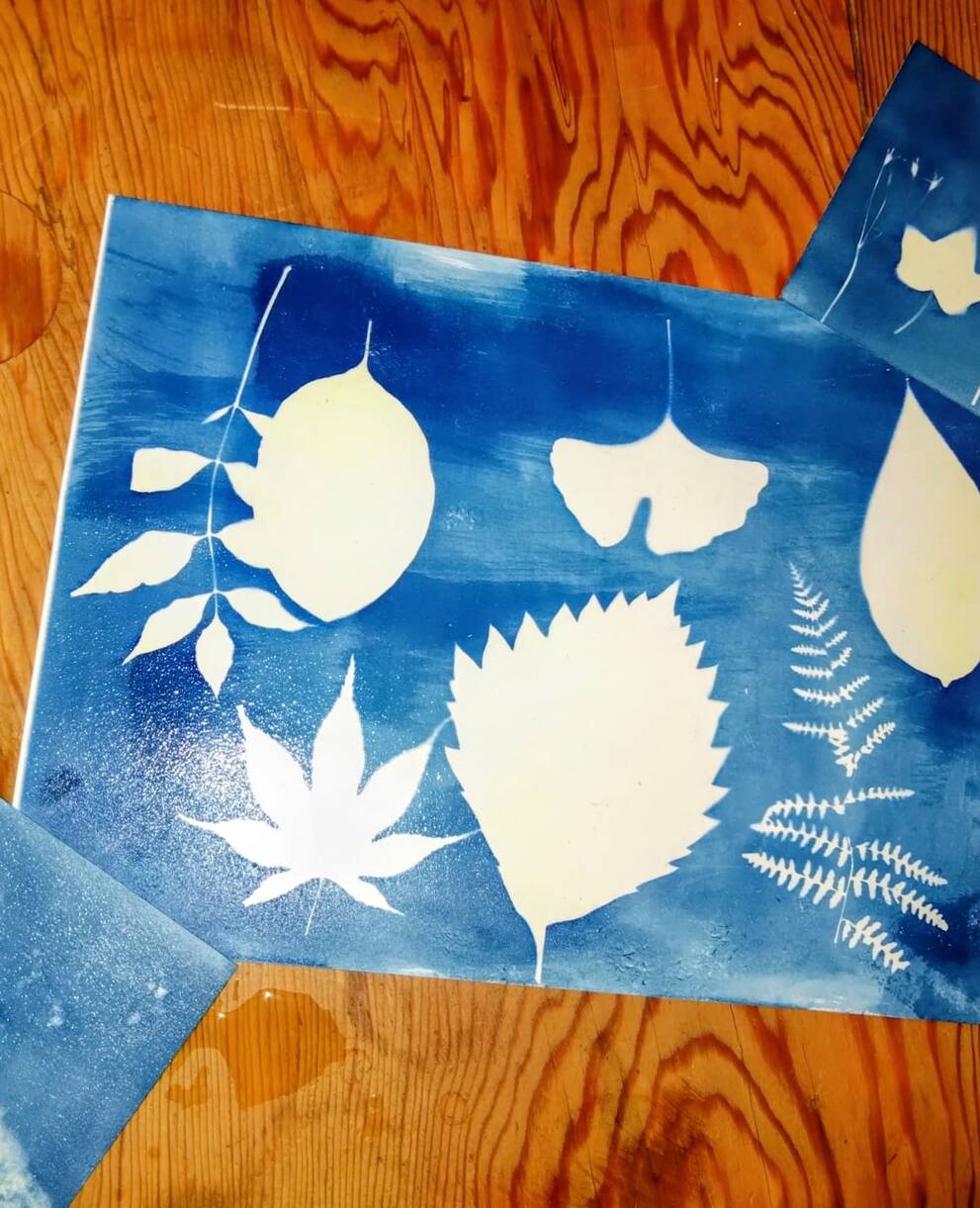 Cyanotype