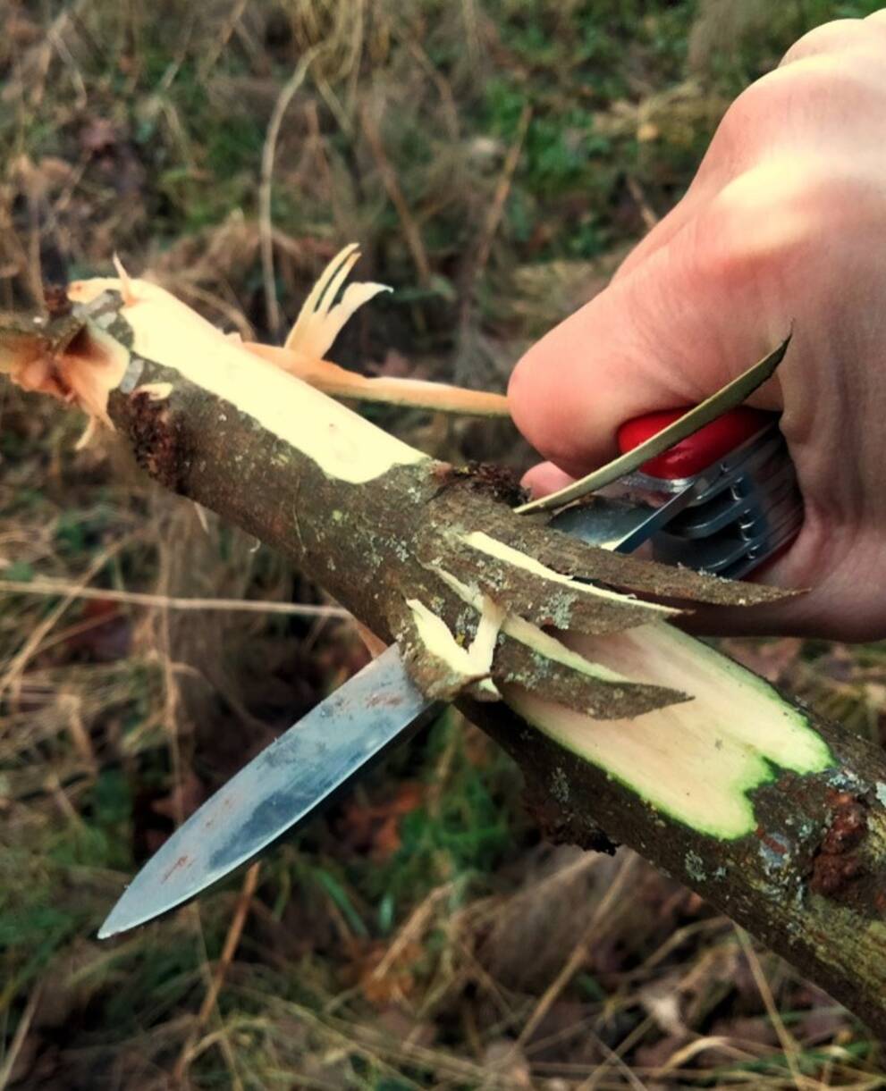 Découverte de la taille du bois au couteau