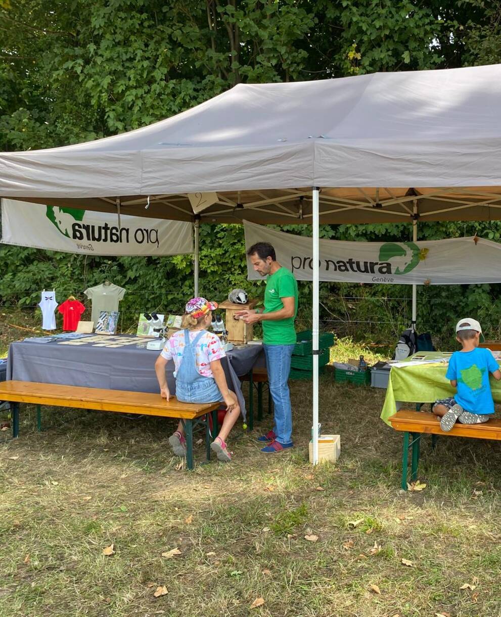 Stand