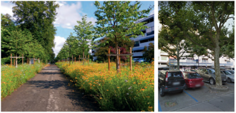La vision urbaine proposée par l’initiative climat urbain